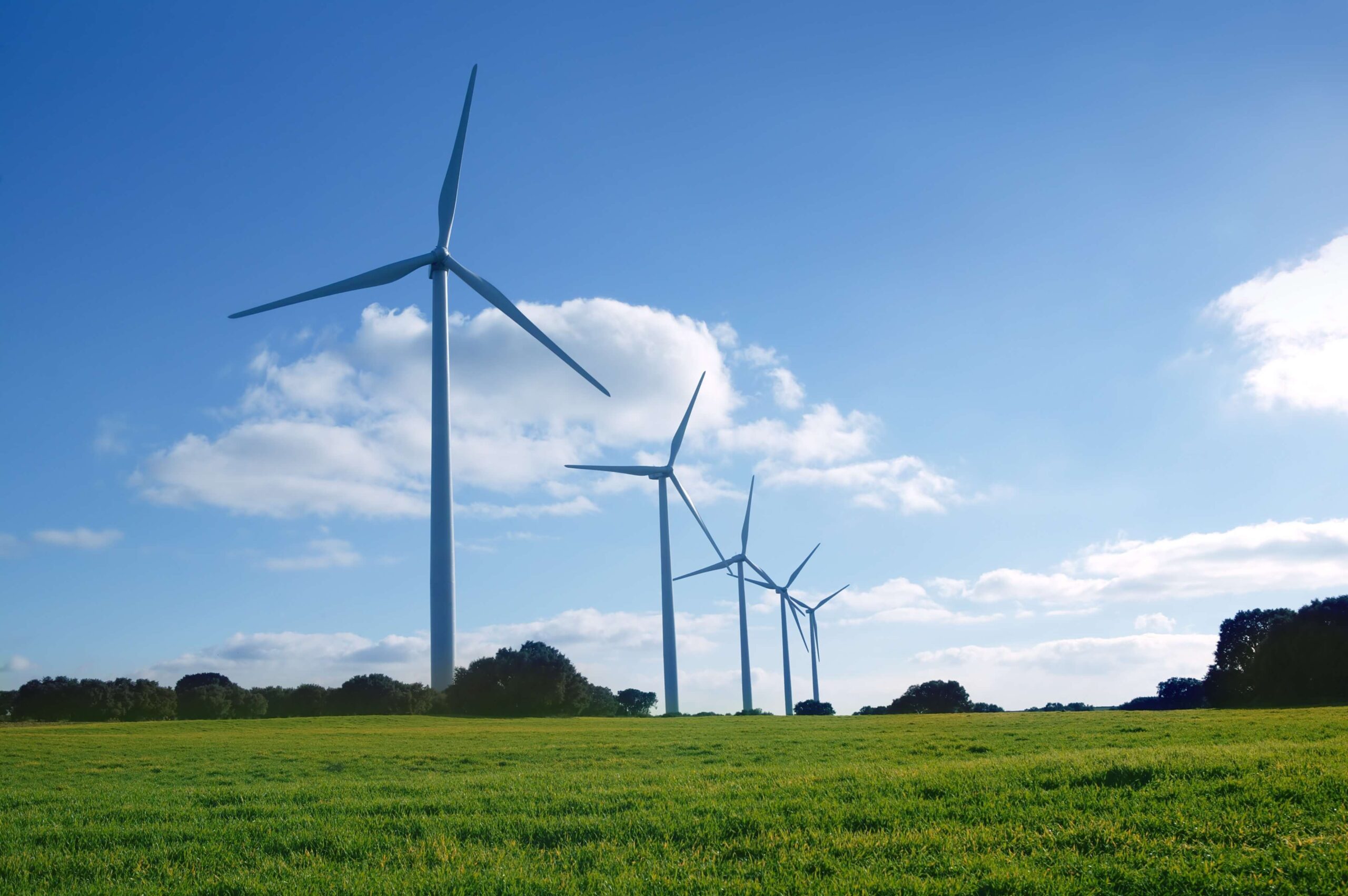 ecological-electric-energy-windmills-meadow (1) (1)